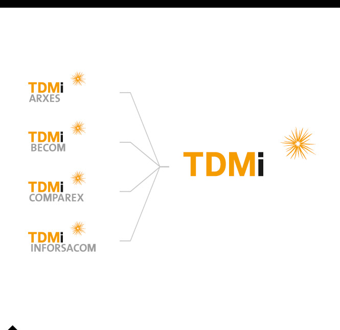 TDMi Logoentwicklung